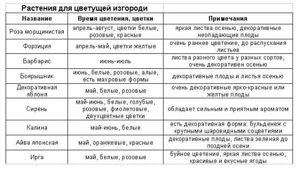 Изгородь из – Живая изгородь - из чего лучше сделать, какие кустарники, растения, время посадки, обрезка, видео