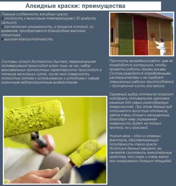 Качественная краска для наружных работ по дереву – технология покраски деревянного дома и обзор производителей, таких как тиккурила, osmo или олимп. Можно ли белить деревья?
