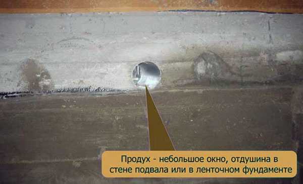 Как должна работать вытяжка в подвале – Вентиляция в погребе: как правильно сделать вытяжку