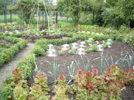 Как огород сделать красивым – Как оформить огород красиво 🚩 как оформить грядки на огороде 🚩 Ландшафтный дизайн