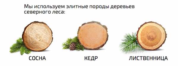 Как определить породу дерева по доске – Как определить породу дерева по доске?