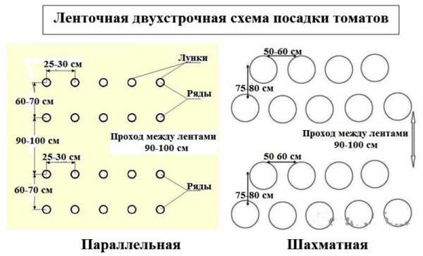 Как построить в теплице грядки – Как сделать грядки в теплице своими руками