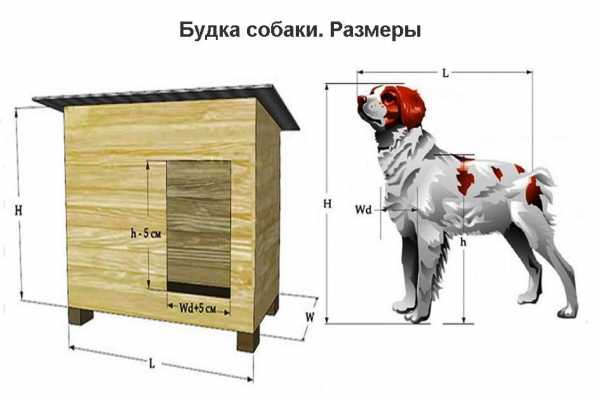 Как правильно сделать вольер для собаки – Вольер для собаки - технические характеристики, чертеж с размерами, виды и фото вольеров для маленьких и крупных собак в квартире, как сделать и приручить собаку к вольеру, цена и где купить в Москве, СПб и Екатеринбурге