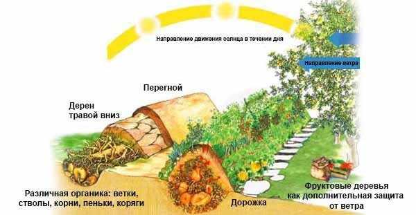 Как правильно сделать высокие грядки – Высокие грядки плюсы и минусы, как сделать своими руками из досок, шифера или пластиковых панелей: фото и видео