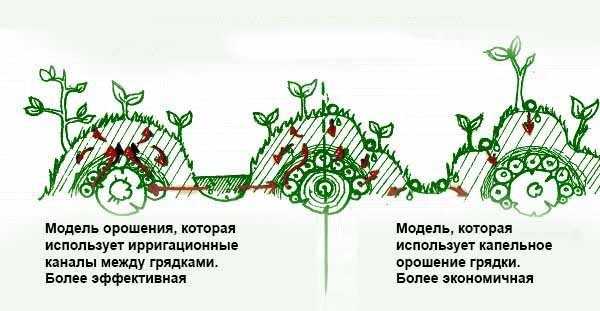 Как правильно сделать высокие грядки – Высокие грядки плюсы и минусы, как сделать своими руками из досок, шифера или пластиковых панелей: фото и видео