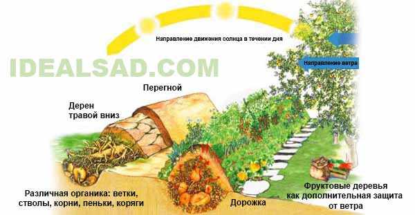 Как правильно сделать высокие грядки – Высокие грядки плюсы и минусы, как сделать своими руками из досок, шифера или пластиковых панелей: фото и видео