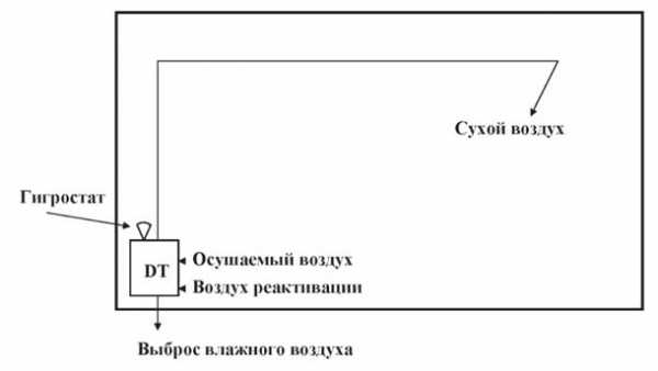 Как просушить погреб без вентиляции – Вентиляция погреба - нужна ли, виды систем естественной и приточно-вытяжной вентиляции, установить и схема расчета, как правильно сделать в частном доме и сарае, как просушить и обойтись без вентиляции, дефлектор, цена и где купить в Москве и СПб