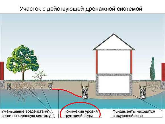 Как просушить погреб без вентиляции – Вентиляция погреба - нужна ли, виды систем естественной и приточно-вытяжной вентиляции, установить и схема расчета, как правильно сделать в частном доме и сарае, как просушить и обойтись без вентиляции, дефлектор, цена и где купить в Москве и СПб