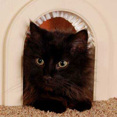 Как сделать дверцу для кошки – Как сделать дверцу для кошки своими руками. Домик для кошки своими руками: мастер-класс