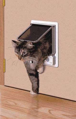 Как сделать дверцу для кошки – Как сделать дверцу для кошки своими руками. Домик для кошки своими руками: мастер-класс