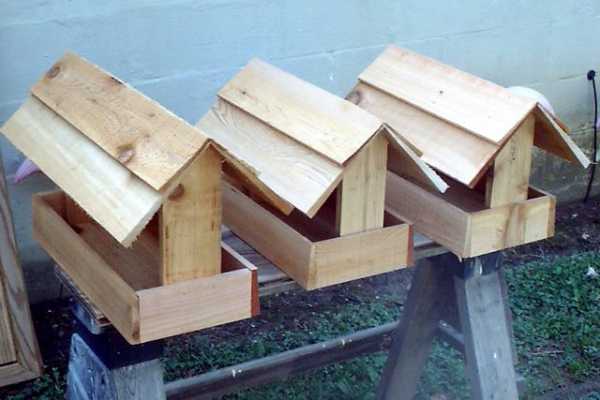 Как сделать кормушку для птиц из дерева своими руками – оригинальные идеи для создания красивых деревянных кормушек. Как сделать кормушку по чертежу с указанными размерами?