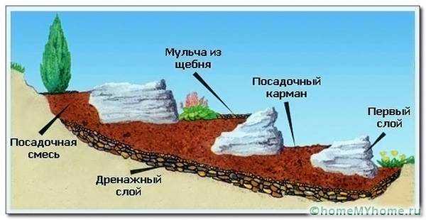 Как сделать на даче альпийскую горку своими – Как сделать альпийскую горку на даче своими руками. Ландшафтный дизайн альпийской горки на участке, с водоёмом