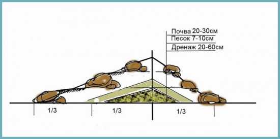 Как сделать на даче альпийскую горку своими – Как сделать альпийскую горку на даче своими руками. Ландшафтный дизайн альпийской горки на участке, с водоёмом