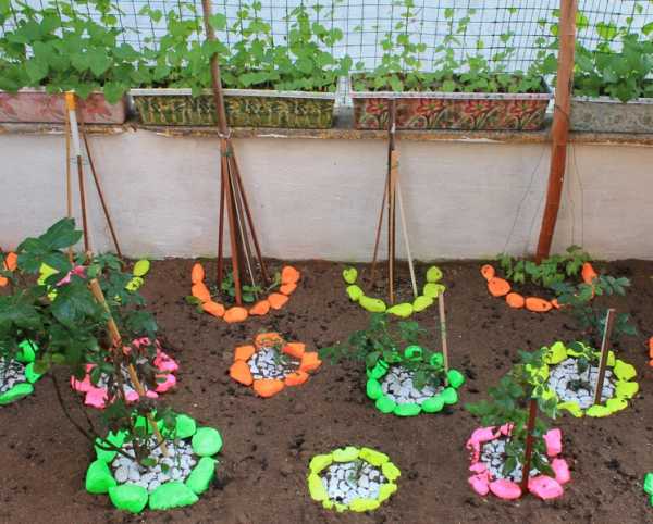 Как украсить огород своими руками фото – оформление своими руками, украшения цветами и подручными средствами, фото и видео