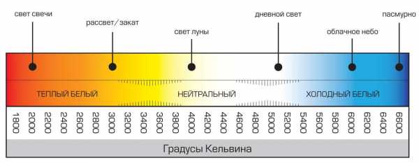 Как выбрать светодиодную лампочку для улицы – 8 советов по выбору уличных светодиодных светильников