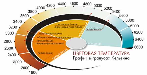 Какие бывают лампочки светодиодные – Светодиодные лампы для дома - технические характеристики, мощность, какие лучше выбрать, виды цоколей e27, e14, gu10, g9, g4, gx53, gx70, t5, t10, производители w5w, r7s, Gauss, Optima, Jazzway, Навигатор, цена и где купить в Москве и СПб