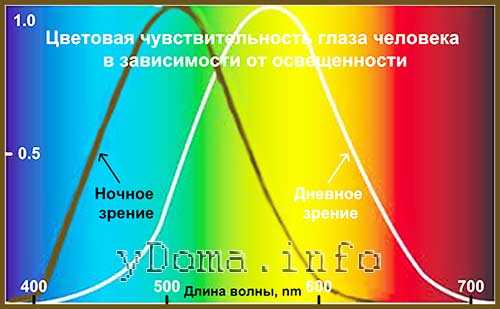 Какие бывают лампочки светодиодные – Светодиодные лампы для дома - технические характеристики, мощность, какие лучше выбрать, виды цоколей e27, e14, gu10, g9, g4, gx53, gx70, t5, t10, производители w5w, r7s, Gauss, Optima, Jazzway, Навигатор, цена и где купить в Москве и СПб