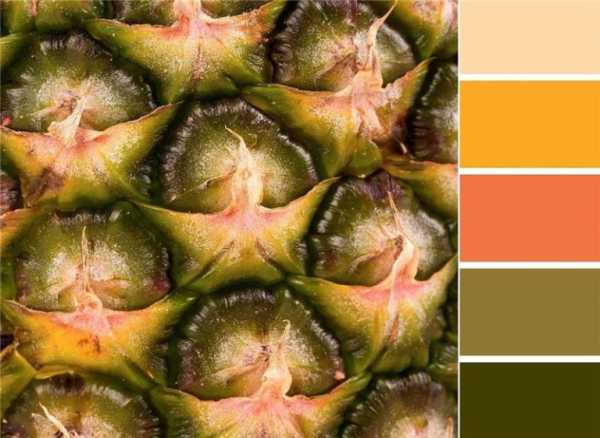 Какие цвета сочетаются в интерьере с оливковым – Разумное сочетание ОЛИВКОВОГО цвета в интерьере – залог гармоничного дизайна