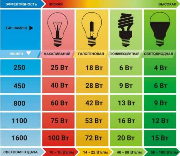 Какие лампы светодиодные – Светодиодные лампы для дома, как выбрать лучшие