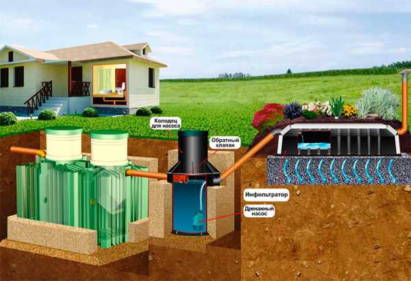 Какие септики лучше для загородного дома – какой выбрать, сравнение, виды, выбор, обзор, лучший септик для загородного дома, фото и видео примеры