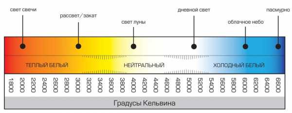 Какие светодиодные лампы лучше – Какая лампочка лучше - светодиодная или энергосберегающая? Описание, характеристики