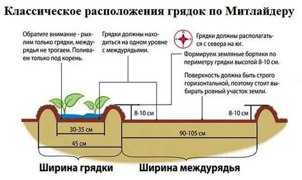 Какое расстояние должно быть между грядками – Как правильно спланировать расположение будущих грядок и посадок на них — Российская газета