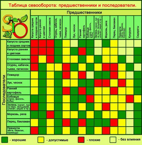 Какое расстояние должно быть между грядками – Как правильно спланировать расположение будущих грядок и посадок на них — Российская газета