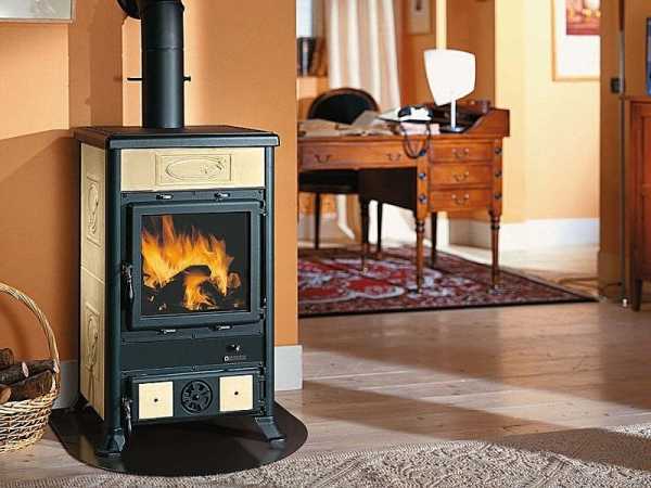 Камин печь для отопления дома – рейтинг, какие можно сделать, выбрать лучший дымоход, пеллетные современные, фото с теплообменником, лежанкой