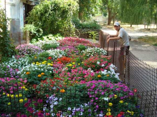 Клумбы для цветов оформление двора – фото 30 вариантов на Dekorin