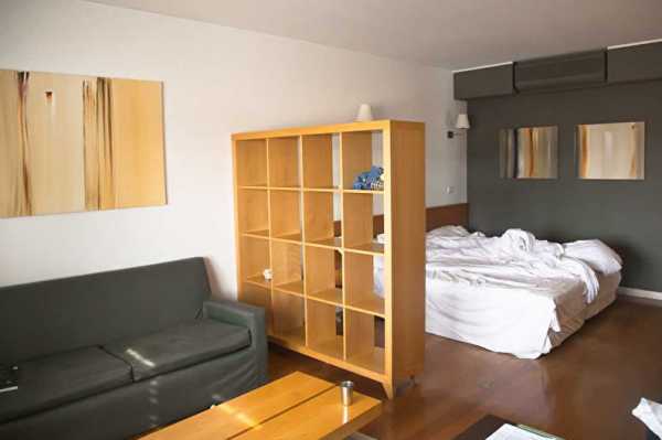 Комната гостиная и спальня – Гостиная и спальня в одной комнате — фото дизайнов интерьера, идеи зонирования