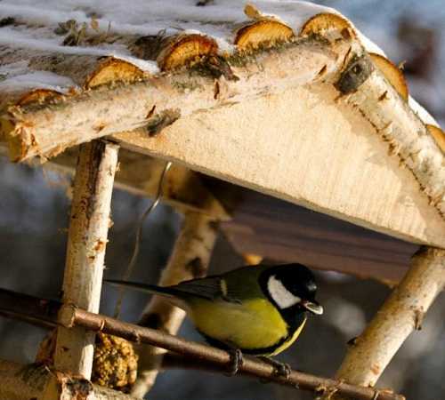 Кормушка для птиц своими руками деревянная – Как сделать кормушку для птиц на приусадебном участке своими руками. Как можно изготовить кормушку для птиц своими руками. Эта статья о том, как помочь птицам пережить зиму.