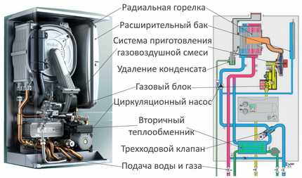 Котлы отопления для частного дома напольные – Напольные газовые котлы для отопления частного дома как выбрать, какой лучше, выбор по конструктивным особенностям