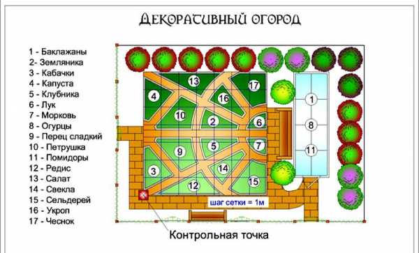 Красивые грядки на даче фото – Как Сделать Красивые Грядки Своими Руками — Подборка Идей и Советов | Мои Идеи Для Дачи и Сада