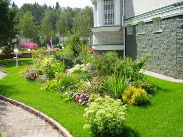 Красивый газон перед домом фото – украшение ландшафта на территории таунхауса своими руками, простой декор хвойными растениями в современном стиле