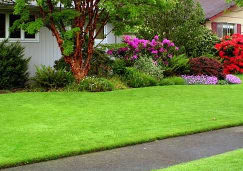 Красивый газон перед домом фото – украшение ландшафта на территории таунхауса своими руками, простой декор хвойными растениями в современном стиле