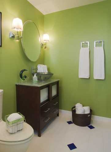 Краска для туалета и ванной – Отделка туалета краской. Как покрасить дачный туалет. Миф о том, что «окрашенные стены в ванной покрываются грибками»