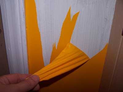 Краска масляная для стен без запаха – Краски без запаха - виды, свойства и особенности нанесения
