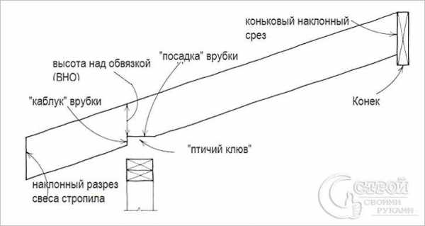 Крепление стропил на крыше – Крепление стропил к стене - Кровля и крыша