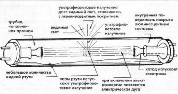 Лампа люминесцентная ультрафиолетовая – .