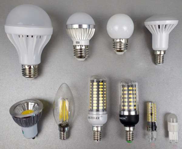 Лампочки какие бывают – декоративные и осветительные для дома, виды цоколей, типы освещения, варианты с датчиком движения