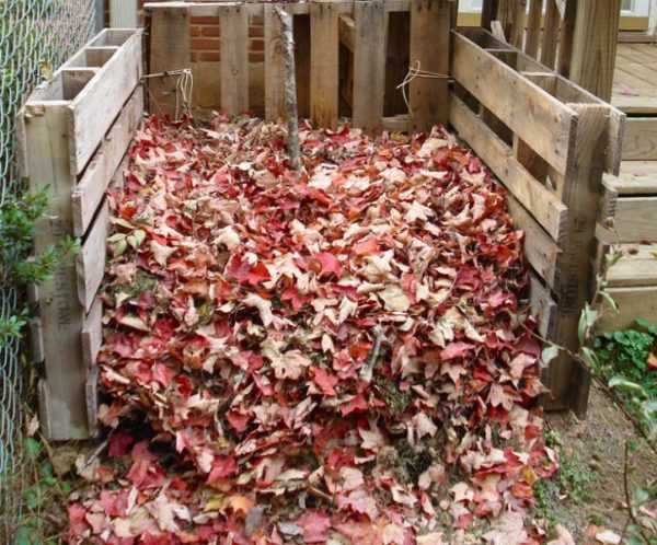 Листовой компост как приготовить – Компост из листьев своими руками + таблица скорости перегнивания (созревания компоста) | Своими руками