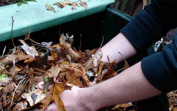 Листовой компост как приготовить – Компост из листьев своими руками + таблица скорости перегнивания (созревания компоста) | Своими руками