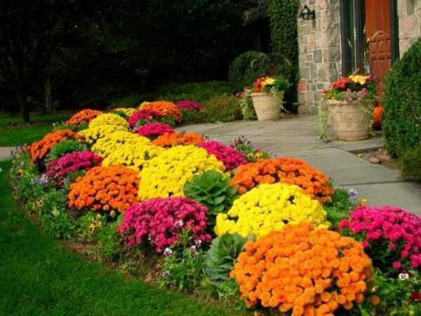 Маленький садик перед домом – Дизайн красивого палисадника перед домом — хитрости оформления и обустройства двора