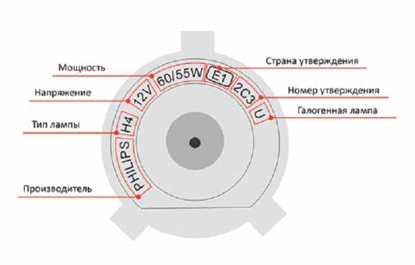 Маркировка ламп накаливания по цоколю – разновидности, виды, типы, обозначения, размеры, маркировка и классификация лампочек освещения (люминисцентные, накаливания, лед)