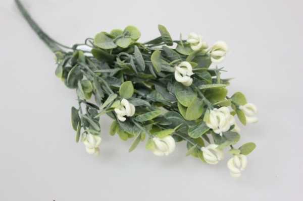 Многолетние цветы белые фото и названия – Многолетние цветы - посадка и уход. Фото обзор красивого оформления на дачном участке