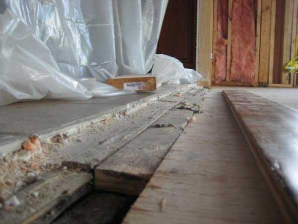 Можно ли класть напольную плитку на деревянный пол – Можно ли класть на деревянный пол плитку? И как правильно это делать: описание процесса