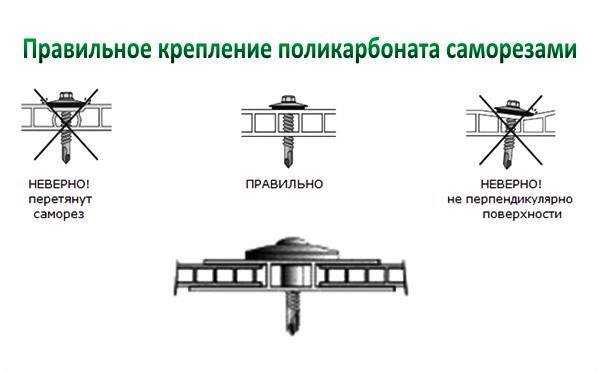 Навесы из поликарбоната во дворе – фото, виды, варианты установки, монтаж, выбор покрытий