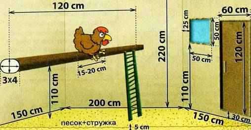 Небольшой курятник – Пошаговая инструкция по изготовлению курятника на 5 куриц с чертежами, фото и видео