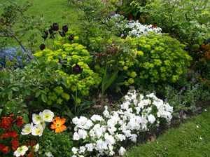 Низкие многолетние цветы для клумбы названия и фото – фото с названиями цветов для сада, бордюрные низкорослые неприхотливые долгоцветущие цветы для клумбы