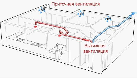 Нужна ли вытяжка – Нужна ли вообще вытяжка? - запись пользователя Оксана-Массажист. Косметолог. Ламинирование ресниц (Rizhaya_BellKa) в сообществе Дизайн интерьера в категории Вопросы и ответы